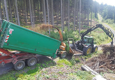 Forstwirtschaftliche Dienstleistungen, Baumfällungen sowie Hackschnitzel- und Brennholzbereitung
